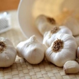 Kada kopati beli luk